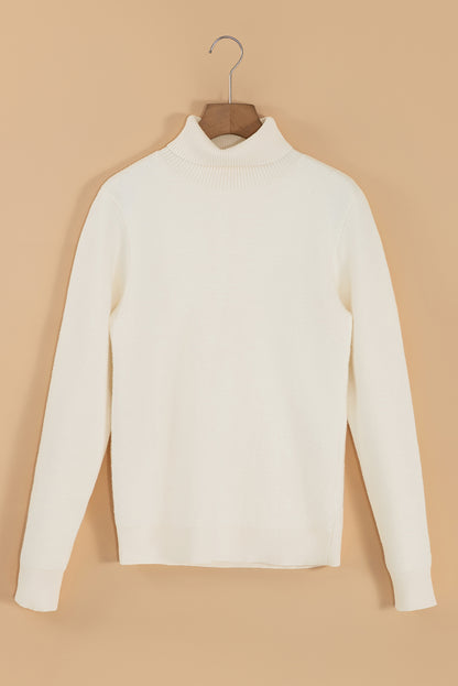 Turtleneck Long Sleeve Sweater-Angel Casuals