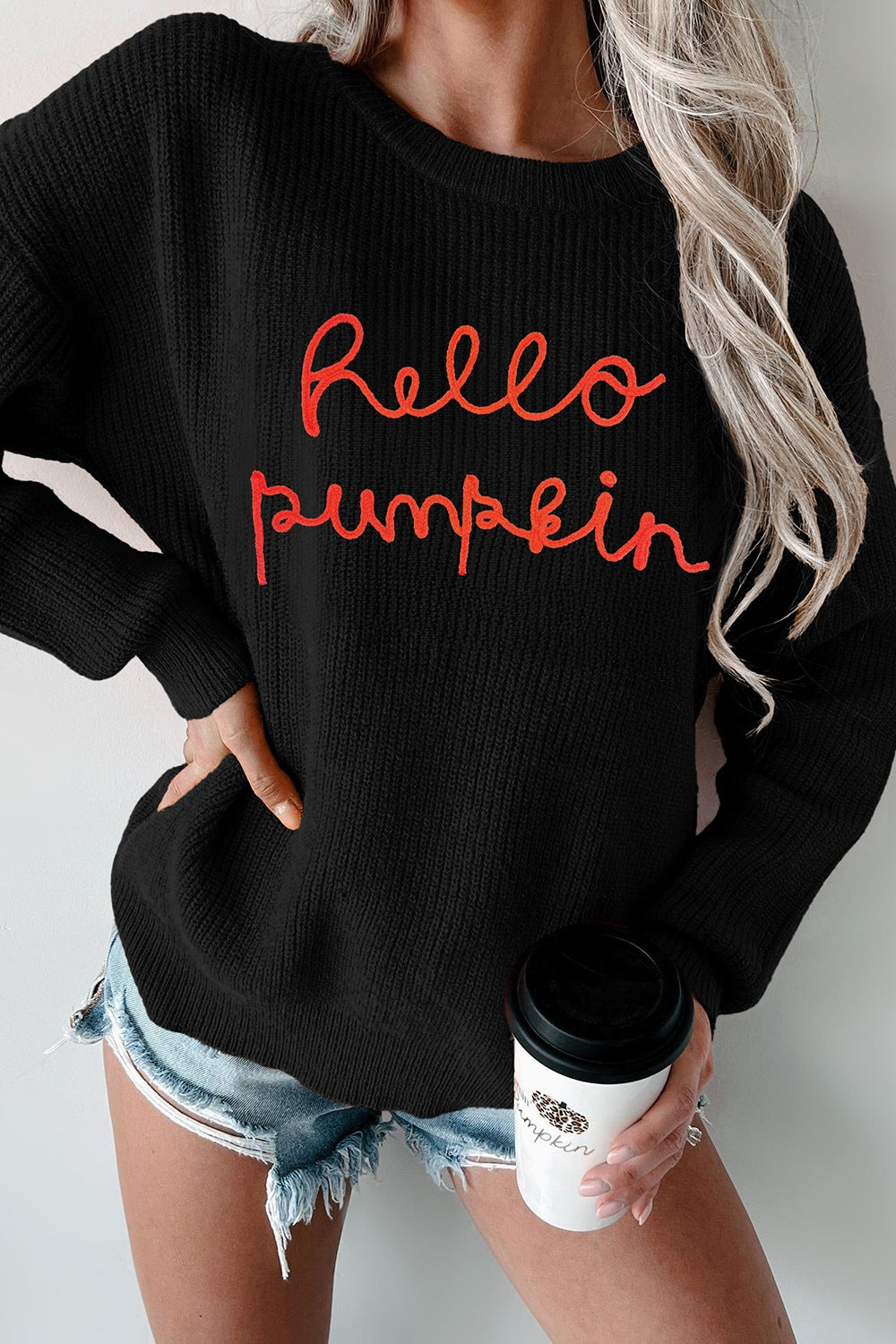 HELLO PUMPKIN Round Neck Long Sleeve Sweater-Angel Casuals