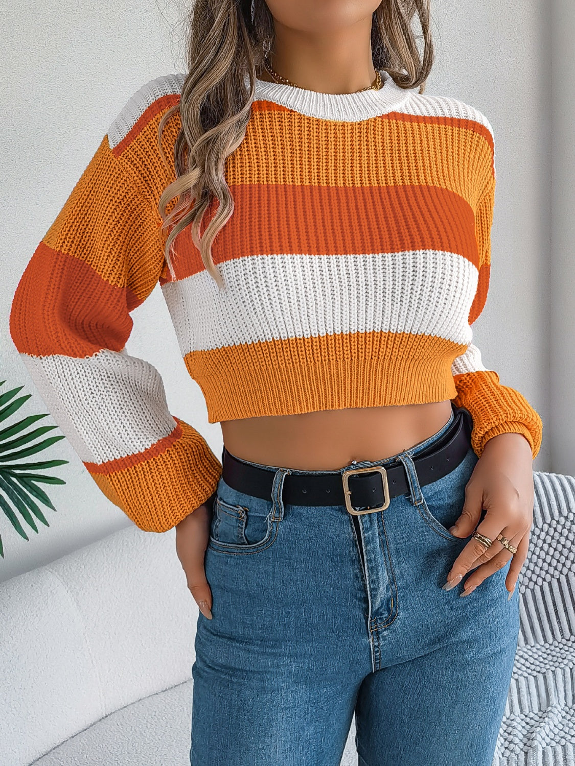 Color Block Round Neck Cropped Sweater-Angel Casuals